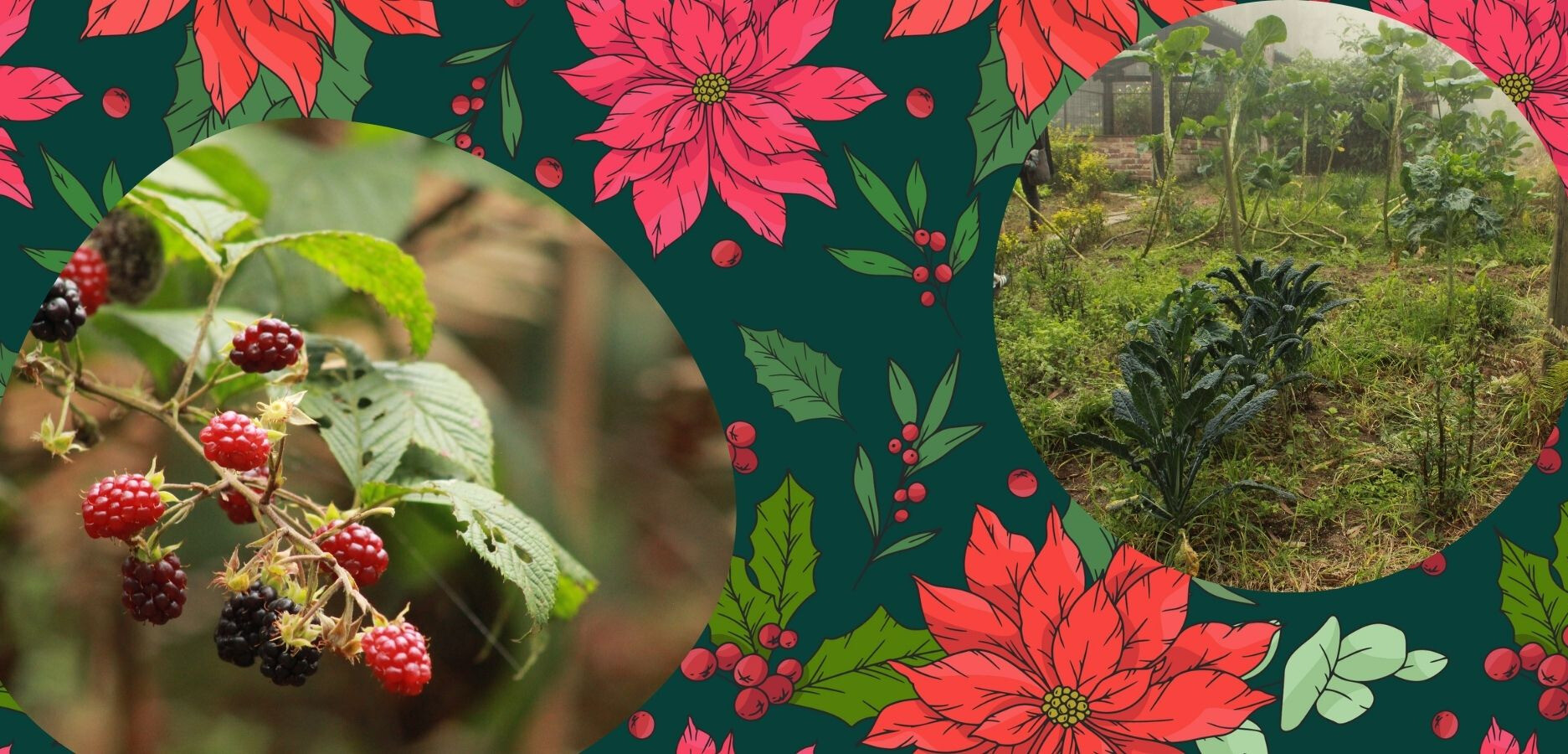 ¡FELICES FIESTAS Y GRACIAS POR ACOMPAÑARNOS!