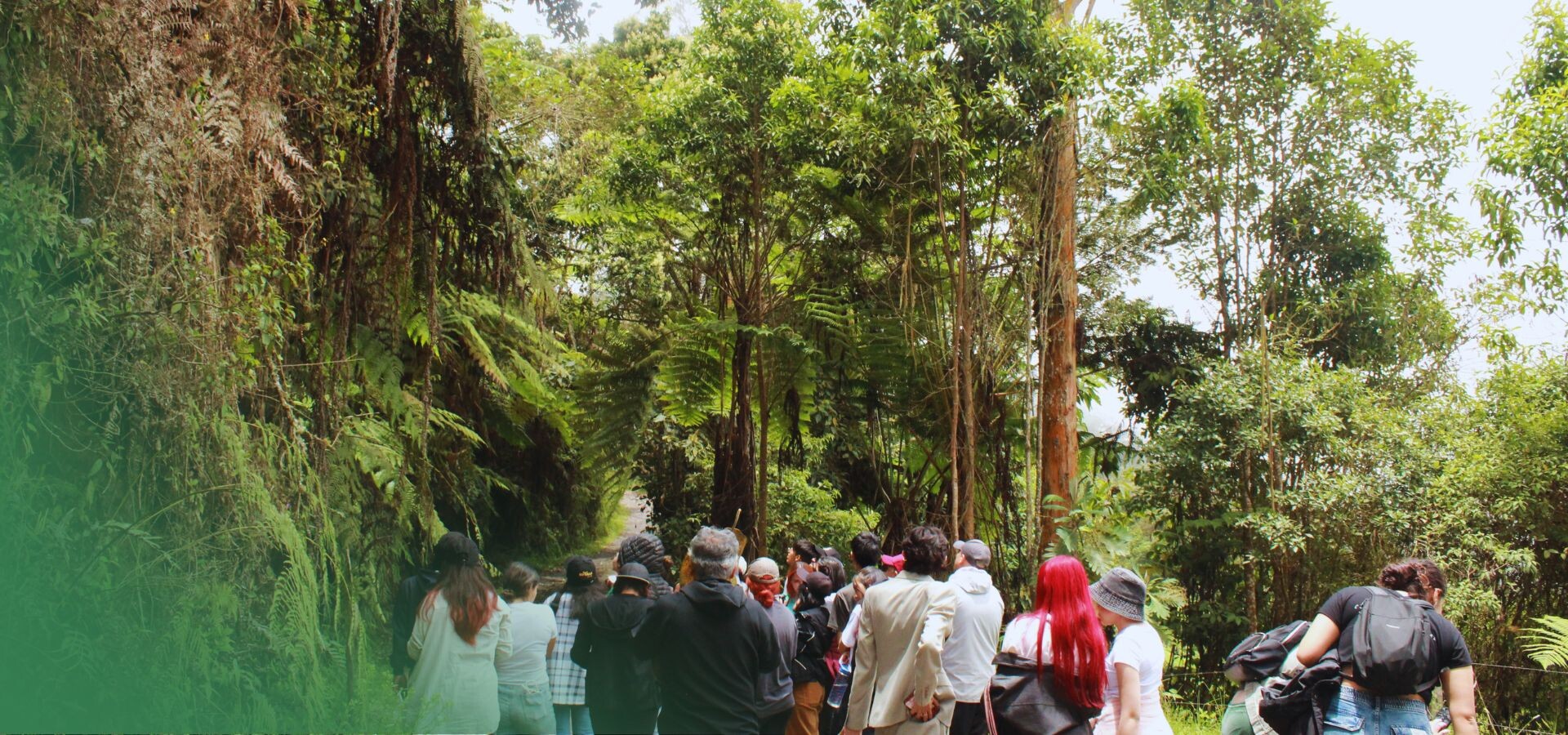 Caminata de febrero en el Arboreto