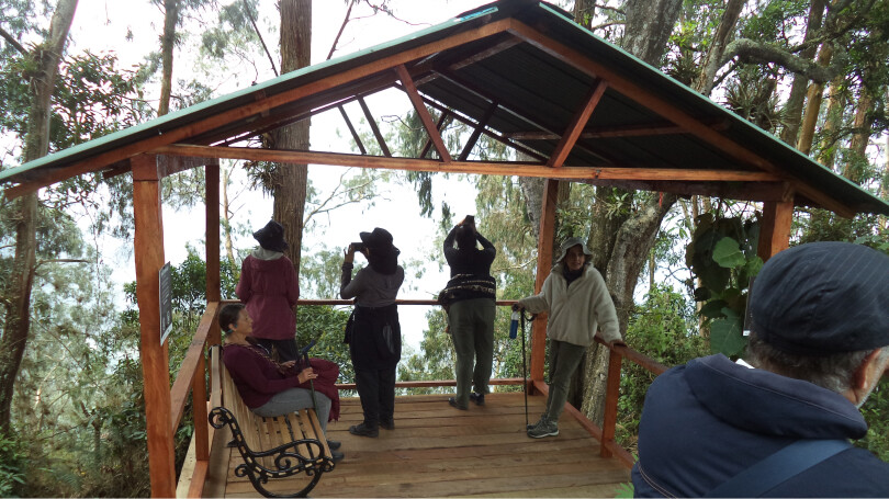 El Bosque de la Esperanza