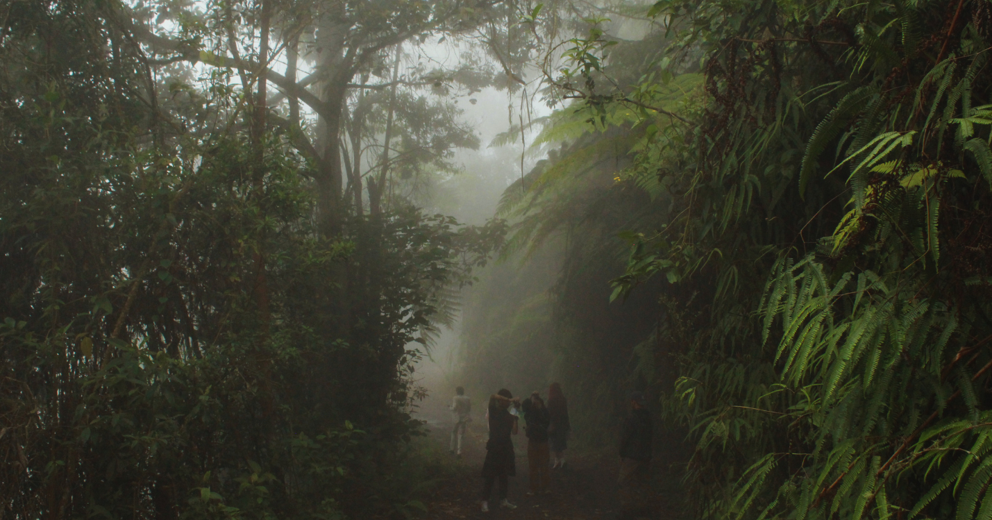 ¡Ven este 1 de noviembre a nuestra caminata ecológica en el Arboreto!