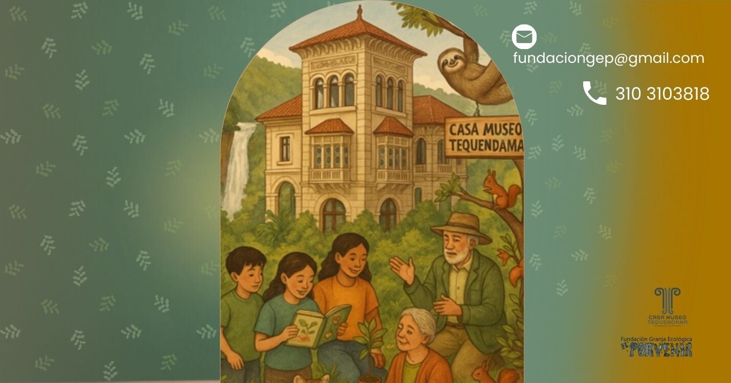 Free tour for teachers